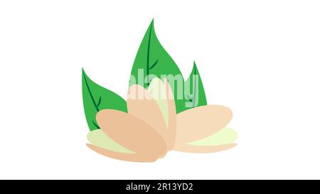 Vector pistachios icon on background. Realistic nut with leaves and seeds. Stock Vector