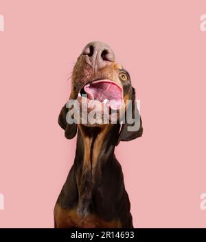 Licking lips. Close-up of young woman licking lips while isolated on ...