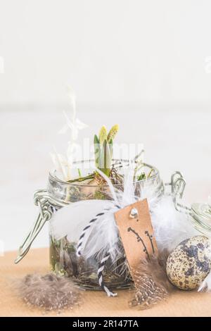 Mini hyacinth in a preserving jar, decorated with feathers, spring or easter decoration, vertical with copy space Stock Photo