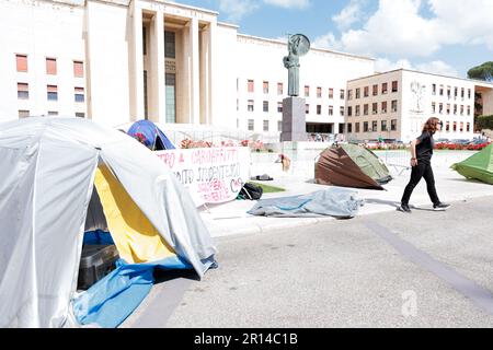 Unity in Protest: Students of Sapienza University in Rome share a moment of camaraderie in their encampment during a protest against rising rental. Stock Photo