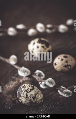 Easter decoration: rustic flower pot with natural quail eggs and feathers on a dark wooden plate and table, vertical Stock Photo