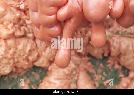 Spraying foam texture. Polyurethane foam close up. Stock Photo