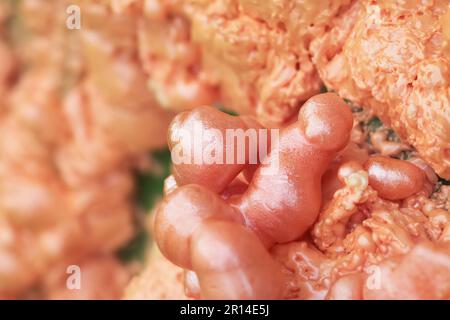 Spraying foam texture. Polyurethane foam close up. Stock Photo