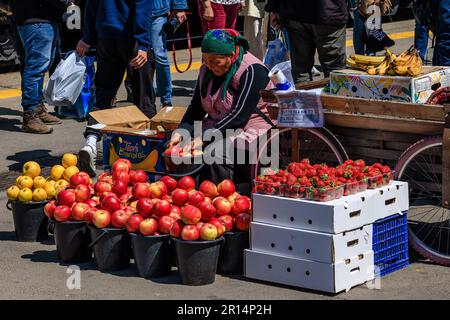 a street vendor has buckets of apples on display at the station entrance in almaty kazakhstan the birthplace of the modern apple Stock Photo