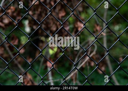 close up, chain link fence, metal barrier meant to keep something either in or out, used to restrain or protect Stock Photo