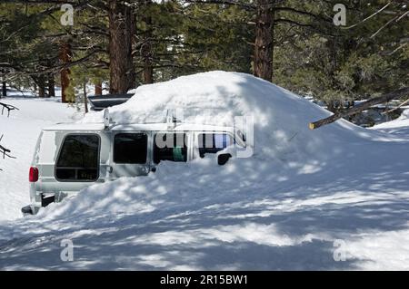 old van covered in snow and trapped in a pine forest Stock Photo