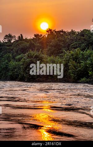 Sidearm of the Congo river at sunset, DR Congo Stock Photo