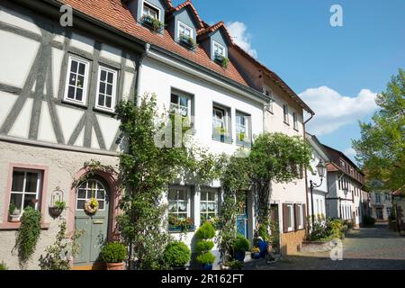 Old Town, Steinheim am Main, Hanau, Hesse, Germany Stock Photo