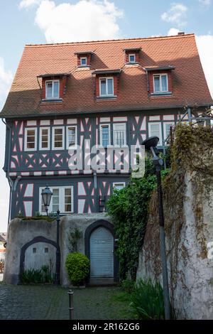 Indagine, House of Johannes Rosenbach, Steinheim am Main, Hanau, Hesse, Germany Stock Photo