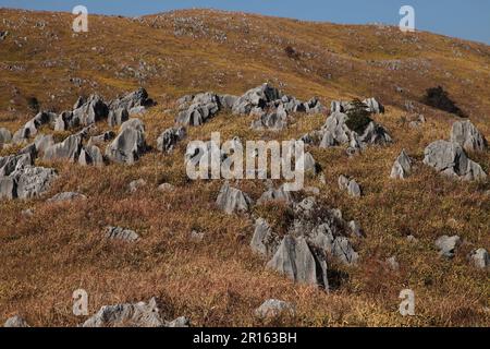 Karst topography of Akiyoshidai Stock Photo - Alamy