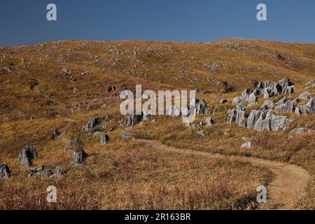 Karst topography of Akiyoshidai Stock Photo - Alamy