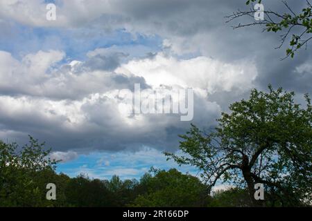 Stormy cumulo-nimbus clouds threatening a local park in the suburban town of Old Bridge, New Jersey, USA -08 Stock Photo