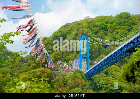 Ryujin Big Suspension Bridge and carp streamer Stock Photo
