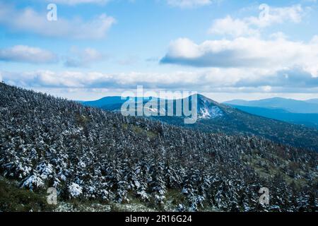 Hachimantai forest rime Stock Photo