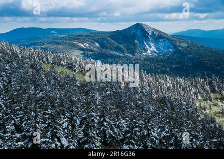 Hachimantai forest rime Stock Photo