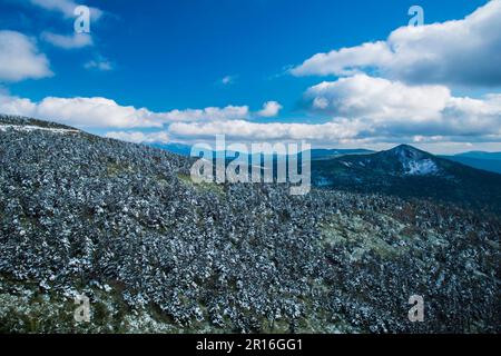 Hachimantai forest rime Stock Photo