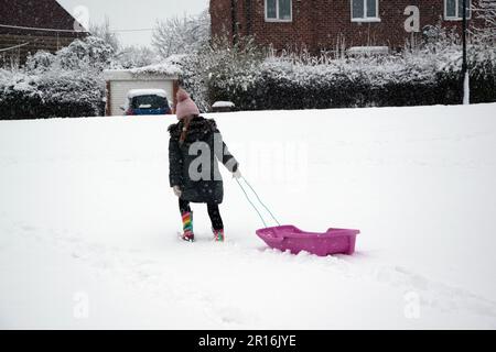 A girl in a green jacket pulls a sled up the snow in winter with snow falling Stock Photo