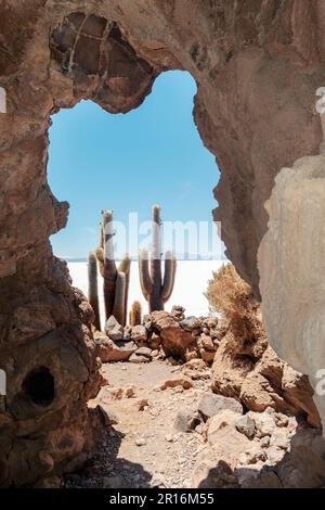 view from natural volcanic cave to giant cactuses at Uyuni Salt flats in Bolivia Stock Photo