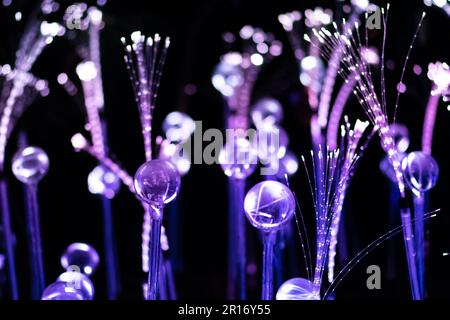 Close-up view of a vibrant purple fiber optic light installation, resembling bioluminescent plants or futuristic flora.AI concept Stock Photo