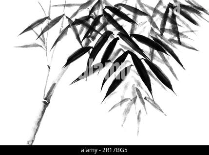 Bamboo in Japanese style. Watercolor hand painting illustration Stock  Illustration by ©katyaulitina #185686454