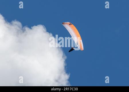 Paragliding under a blue sky in Sussex,UK. Paragliders are suspended by a harness under a canopy to allow them to glide through the sky. Stock Photo
