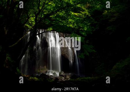 A waterfall in the middle of green trees Stock Photo