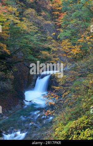Fukiware-no-taki Falls