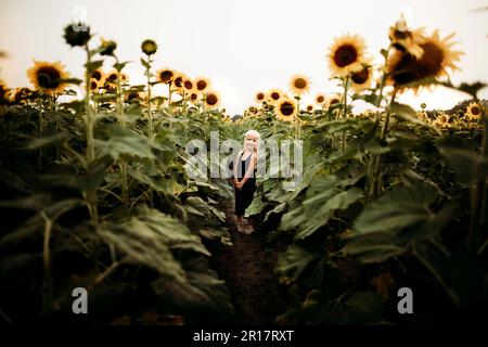 Young girls in a sunflower field in northwest Indiana Stock Photo