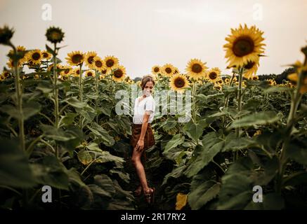 Young brunette girls in sunflower field in July in Indiana Stock Photo