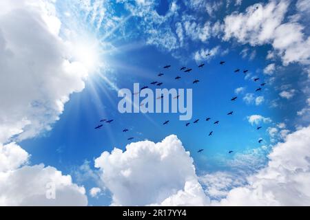 Silhouette of a flock of ducks against a beautiful blue clear sky with white cumulus clouds (cumulonimbus), bottom view, full frame, photography. Stock Photo
