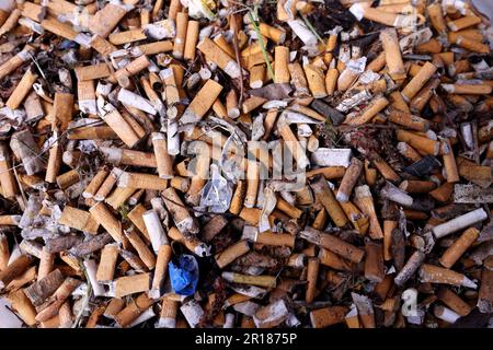 herbal cigarettes for acting Amazon.com: Honeyrose Deluxe, Tobacco and Nicotine Free Herbal Smokes, 1 Carton, Made in England : Health & Household herbal cigarettes for acting Amazon.com: Honeyrose Deluxe, Tobacco and Nicotine Free Herbal Smokes, 1 Carton, Made in England : Health & Household