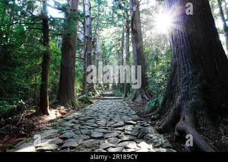 Daimon slope Kumano Kodo Stock Photo