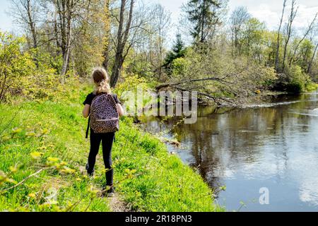 Back view of 9 year old girl hiking, walking alone in the forest by the river with a backpack in early spring. Beautiful idyllic nature. Stock Photo