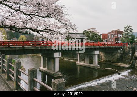 TAKAYAMA, JAPAN - APRIL 4, 2023 : Sakura cherry blossom trees along both side of Miyagawa river in spring season Stock Photo