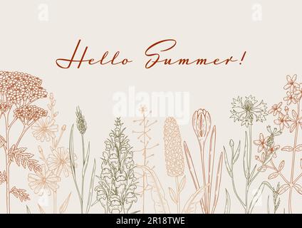 Hand drawn summer horizontal wildflowers design. Vector illustration in sketch style. Meadow flowers aesthetic background Stock Vector