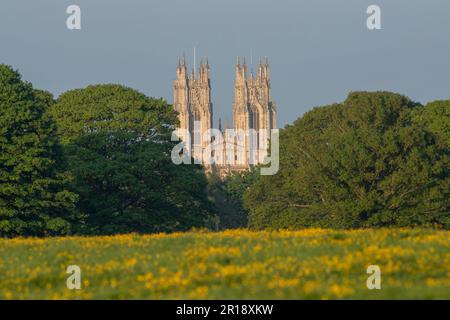 Beverley Minster viewed from Beverley Westwood in East Yorkshire, UK Stock Photo