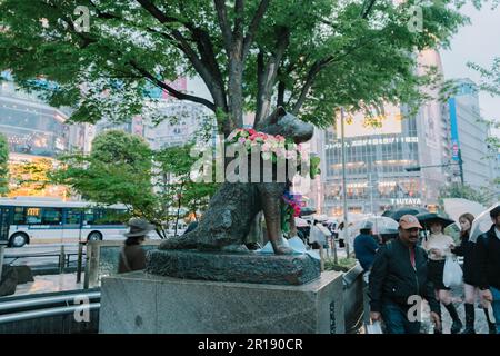 Ueno, Japan, April 7, 2023 : Hachiko dog statue in Shibuya, Tokyo Stock Photo