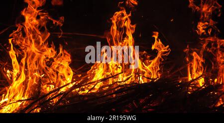 Beautiful stylish fire flames during the night. Fire flame with burning red hot sparks isolated on black background Stock Photo