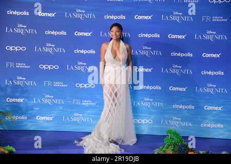 Mexico City, Mexico. 11th May, 2023. May 11, 2023, Mexico City, Mexico: Actress Halle Bailey attends the red carpet of The little Mermaid film premiere at Toreo Parque Central. on May 11, 2023 in Mexico City, Mexico. (Photo by Eyepix Group) (Photo by Eyepix/NurPhoto) Credit: NurPhoto SRL/Alamy Live News Stock Photo