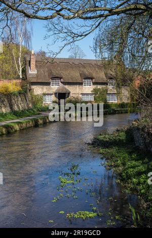 Beck Isle thatched cottage beside Thornton Beck in spring, Thornton le Dale, near Pickering, North Yorkshire Stock Photo