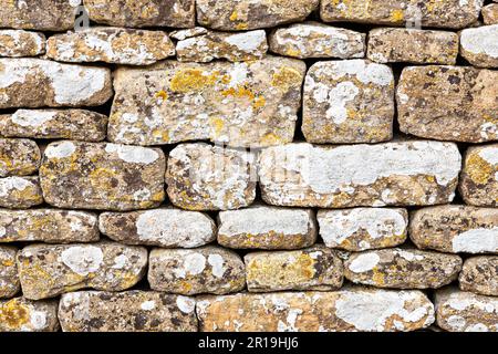 Lichen growing on a dry stone wall in the Cotswold village of Great Barrington, Gloucestershire UK Stock Photo
