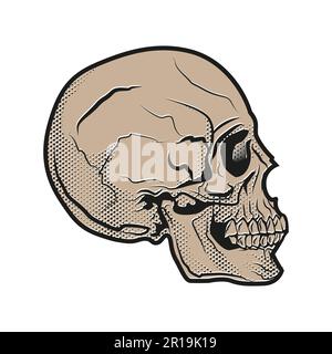 Human skull in halftone style. Vector illustration on white background. Stock Vector