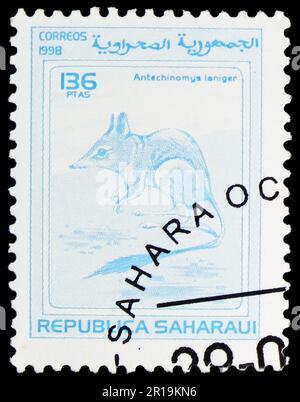 MOSCOW, RUSSIA - APRIL 08, 2023: Postage stamp printed in Sahara shows Kultarr (Antechinomys laniger), serie, circa 1999 Stock Photo