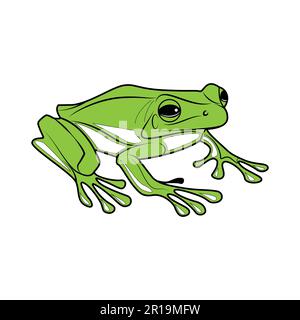 Green frog on a white background. Vector illustration for your design. Stock Vector