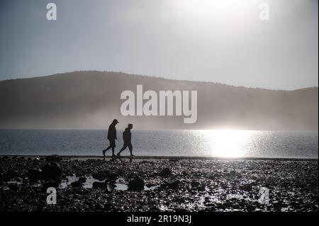 Hikers walk the land bridge to Bar Island at low tide as a mist sets in in Bar Harbor, ME on Tuesday, September 27, 2022. Stock Photo