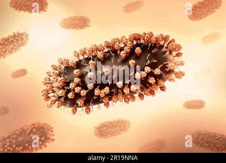 Human Respiratory Syncytial Virus (RSV) Creative layout featuring 3D renderings of respiratory syncytial virus (RSV), a common contagious virus that infects the human respiratory tract. Credit: NIAID Stock Photo