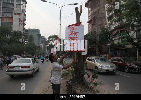 tree cutting ,Dhanmondi Saat Masjid road 12may2023, Dhanmondi Saat Masjid road divider tree cutting stop and native species work in the place of cut t Stock Photo