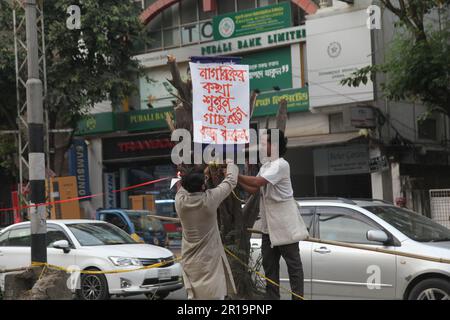 tree cutting ,Dhanmondi Saat Masjid road 12may2023, Dhanmondi Saat Masjid road divider tree cutting stop and native species work in the place of cut t Stock Photo