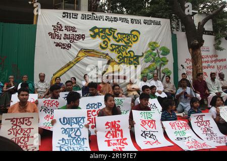 tree cutting ,Dhanmondi Saat Masjid road 12may2023, Dhanmondi Saat Masjid road divider tree cutting stop and native species work in the place of cut t Stock Photo