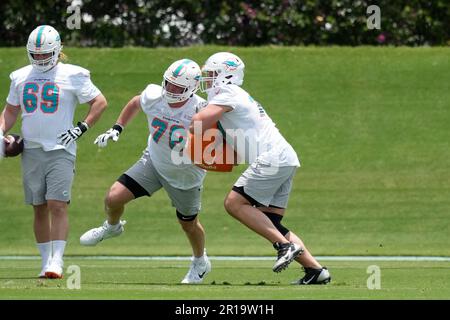 Miami Dolphins offensive tackle Ryan Hayes (76) and Houston Texans  defensive end Ali Gaye (73) during an NFL preseason football game,  Saturday, Aug. 19, 2023, in Houston. (AP Photo/Tyler Kaufman Stock Photo -  Alamy